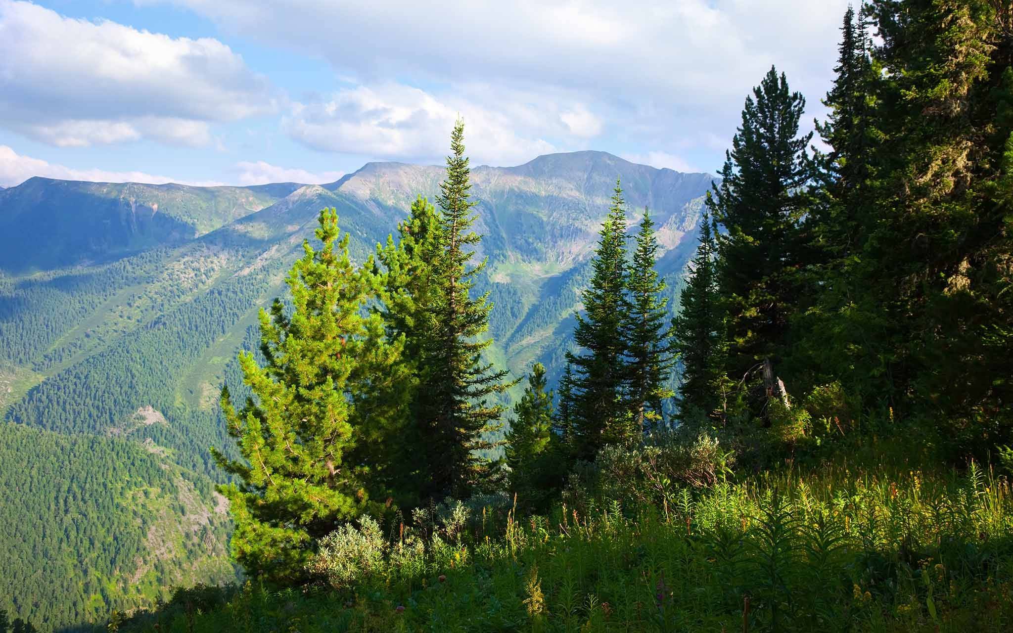 HotelVision HotelVision