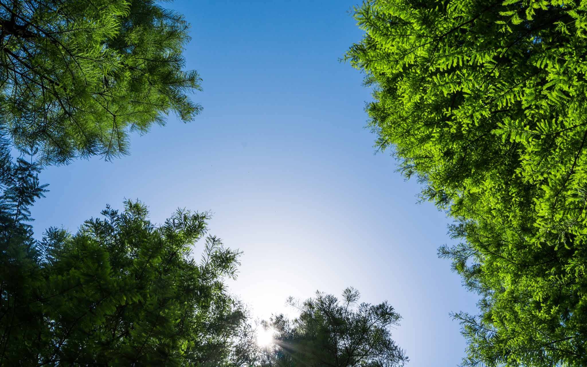 HotelVision HotelVision